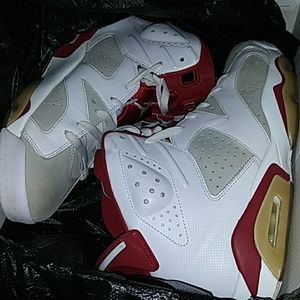 Air Jordan 6 Retro